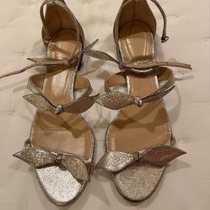 Chloe Metallic Flat Sandals. EUC size 40 (9.5)